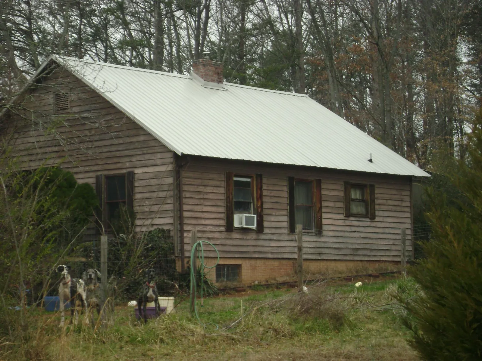 White metal roof on an old wood sided farmhouse, from a Asphalt Shingle Roof Repair job in Elkhart